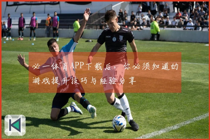 必一体育APP下载后，你必须知道的游戏提升技巧与经验分享